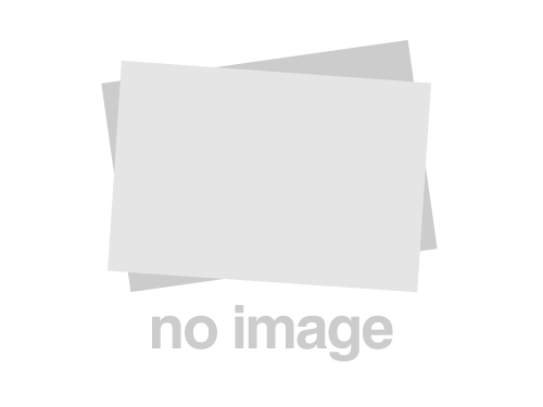 Auckland Study Group - Tuesday 3rd March 2026